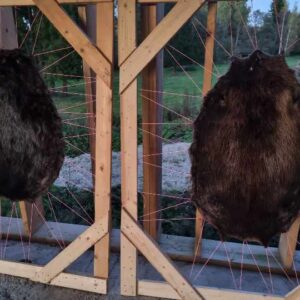 Kopranaha parkimise koolitus,4.päevane. 05.09.-06.09. ja 19.09.-20.09.2026