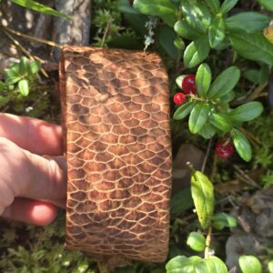 Taimpargi koolitus, 2.päevane. 30.05.2026 ja 14.06.2026 UUS!